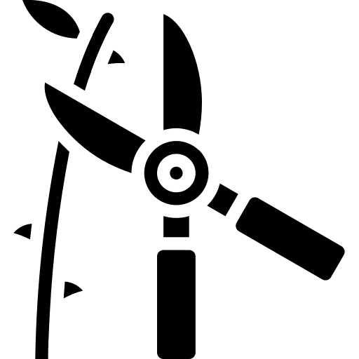 Poda